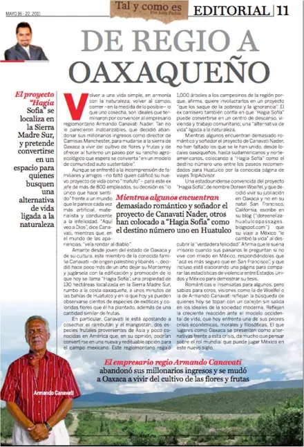 Página de la columna «De regio a oaxaqueño», de Luis Padilla, sobre Armando Canavati y Hagia Sofía