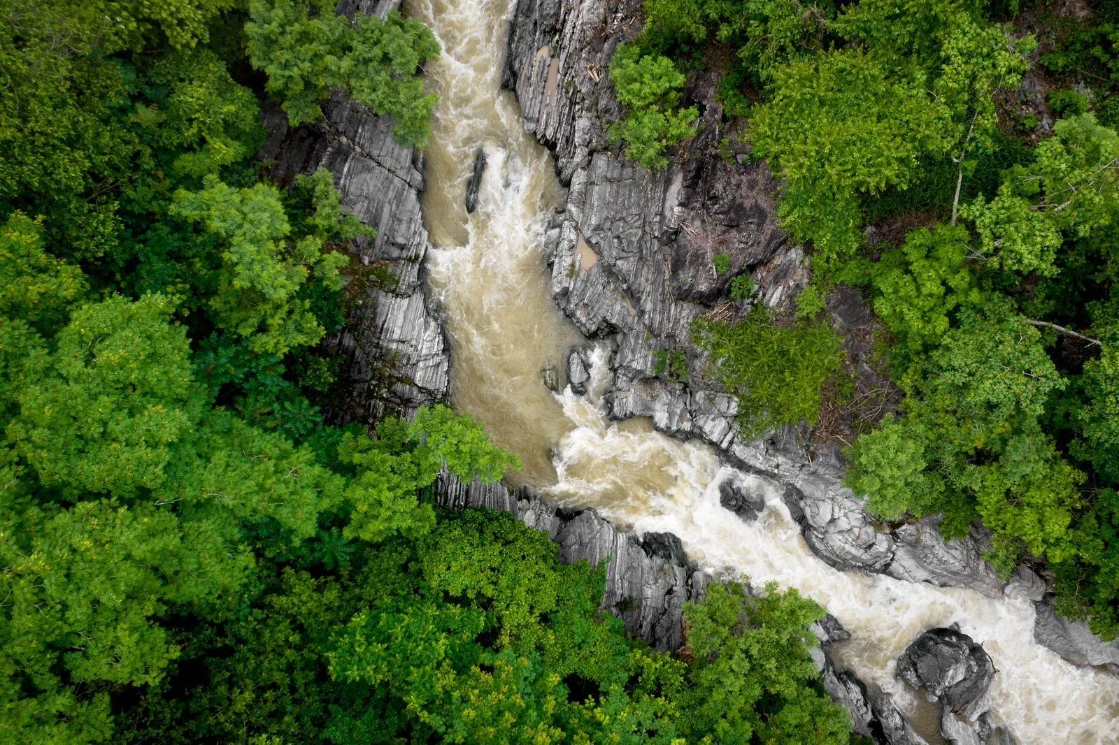 Río dentro del parque