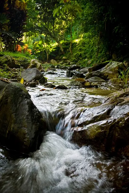 Arroyo donde está el jardín de flores