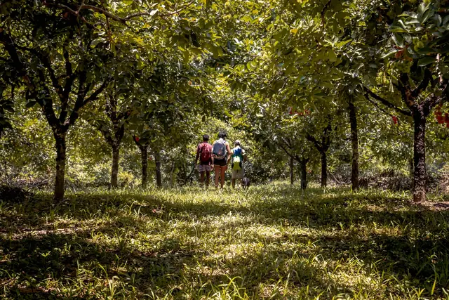 Tres visitantes caminando entre los árboles frutales del huerto