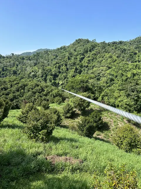 Cable de la tirolesa 4 sobre el huerto de mangostán