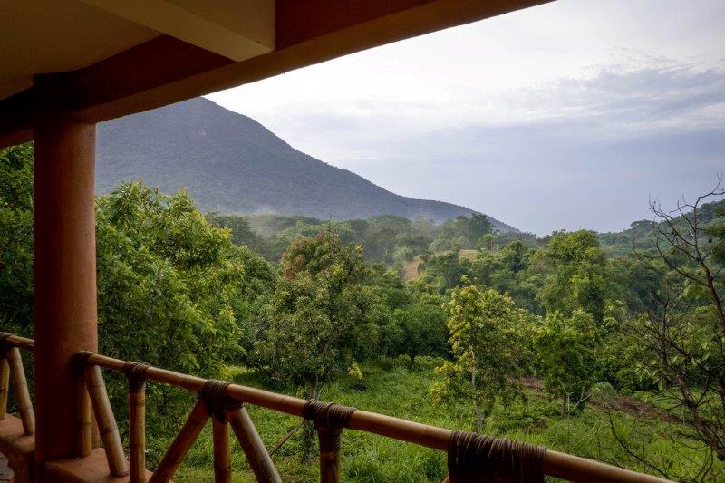 jungle cabins oaxaca